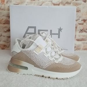 New Ash Krush Knit Low Top Sneakers